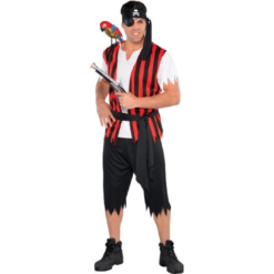 Ahoy Matey Mens Pirate Costume