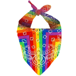 Bandana Rainbow