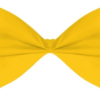 Bowtie Bright Yellow