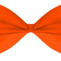Bowtie Orange