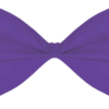 Bowtie Purple
