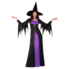 Classic Witch Womans Costume Plus Size Purple