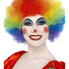 Clown Rainbow Wig