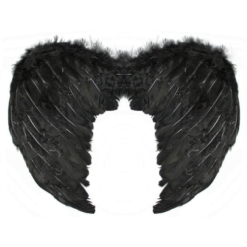 Feathered Wings Small Black