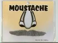 Gentlemans Grey Moustache