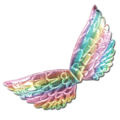 Pastel Rainbow Mini Wings