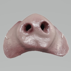 Piggy Nose