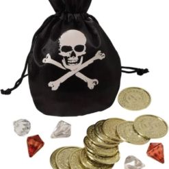 Pirate Coin And Pouch Set