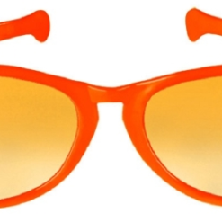 Sunglasses Jumbo Orange