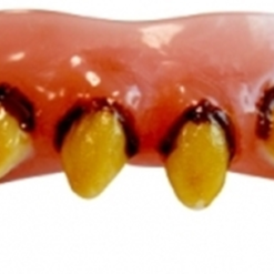 Werewolf Teeth
